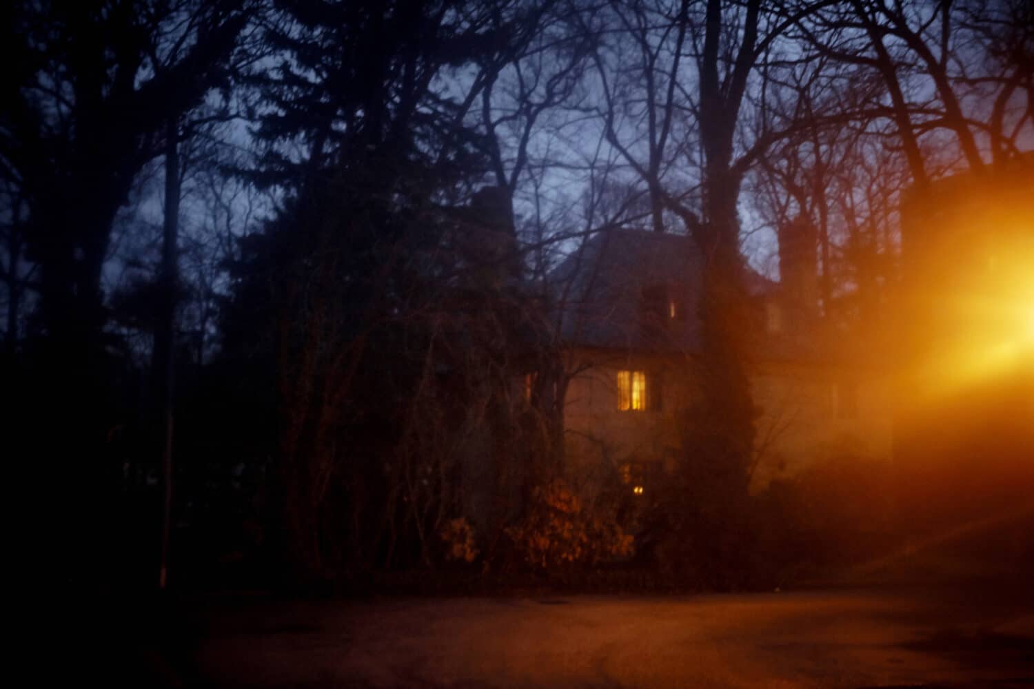 13 Photo Maurice Haas John Waters