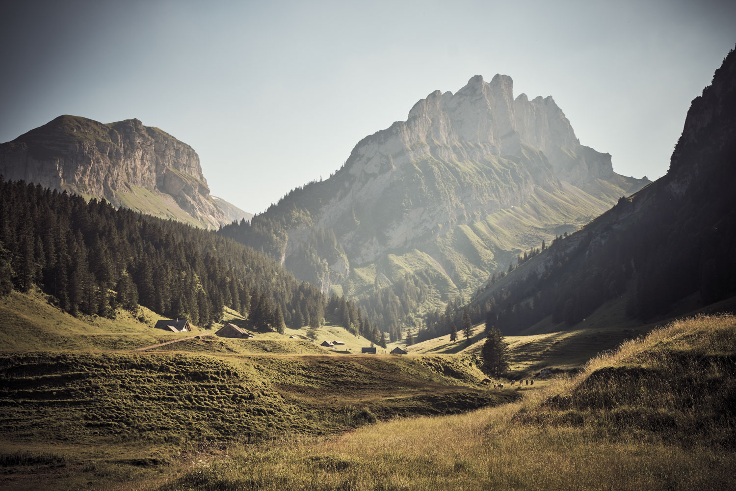 13 Photo Christian Grund Alpsegen Alp