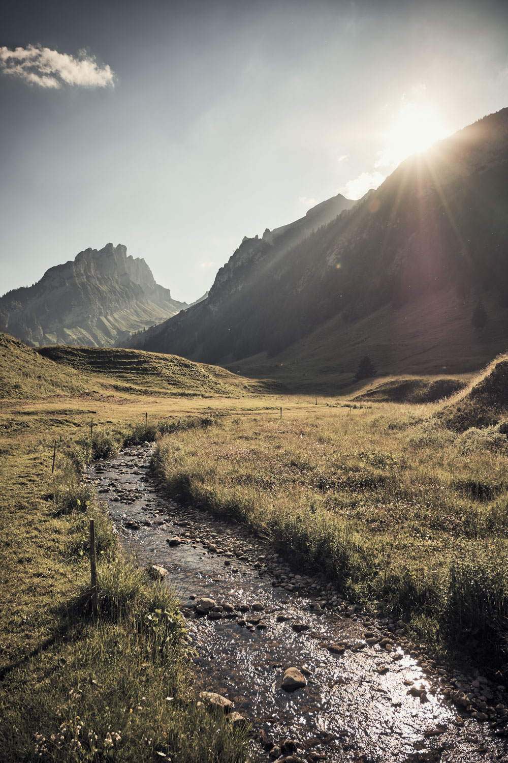 13 Photo Christian Grund Alpsegen Alp