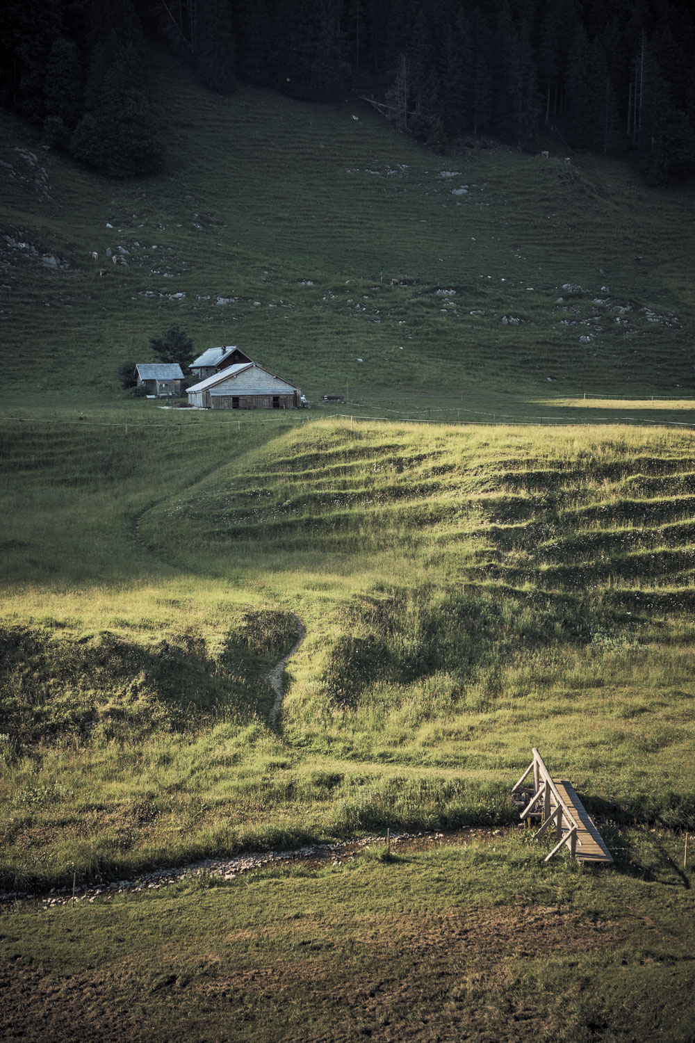 13 Photo Christian Grund Alpsegen Alp