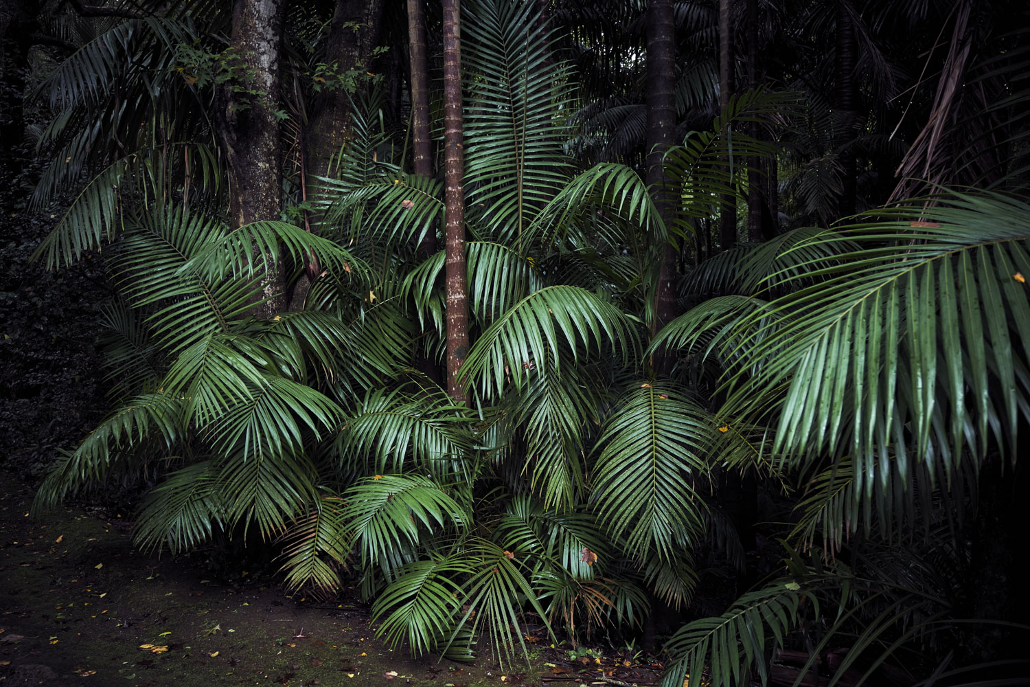 13 Photo Christian Grund Azoren Insel Reisen
