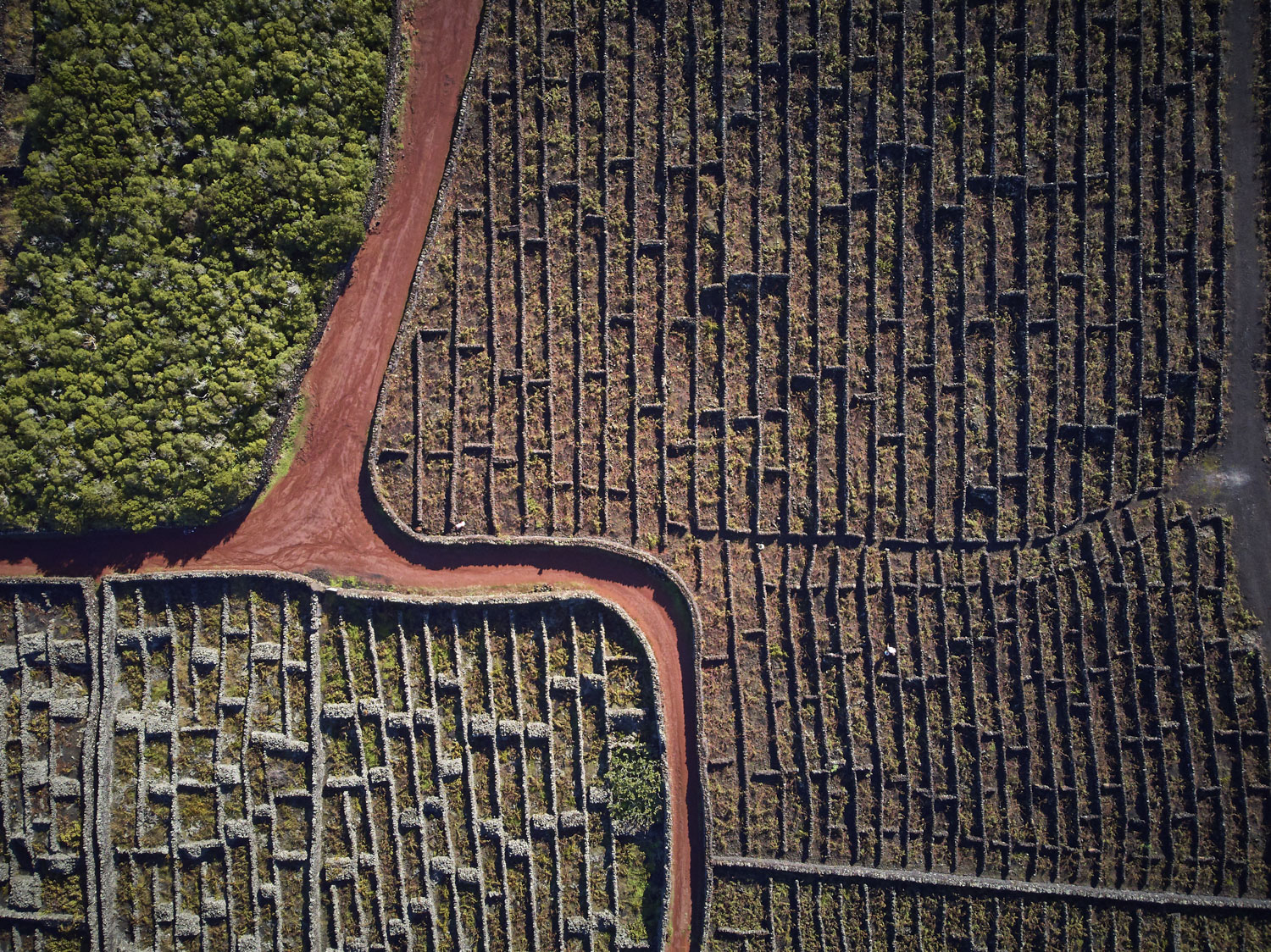 13 Photo Christian Grund Azoren Insel Reisen