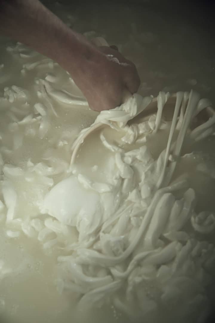 13 Photo Maurice Haas Willi Schmid Käse Toggenburg