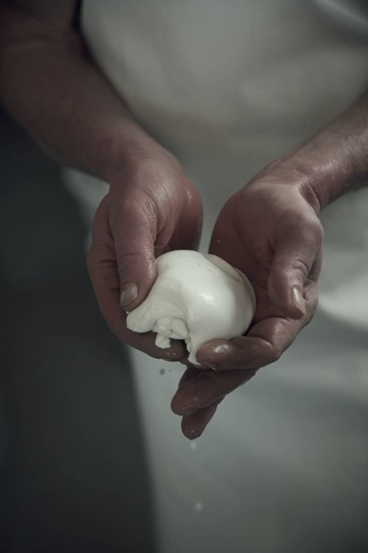 13 Photo Maurice Haas Willi Schmid Käse Toggenburg