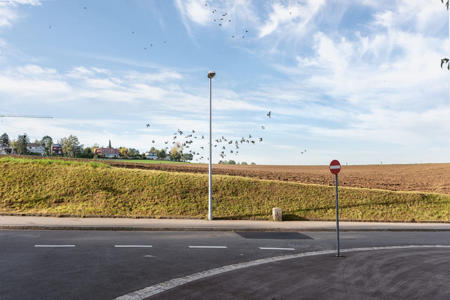 13Photo Christian Flierl Auf Dem Hellen Hügel Bruderholz