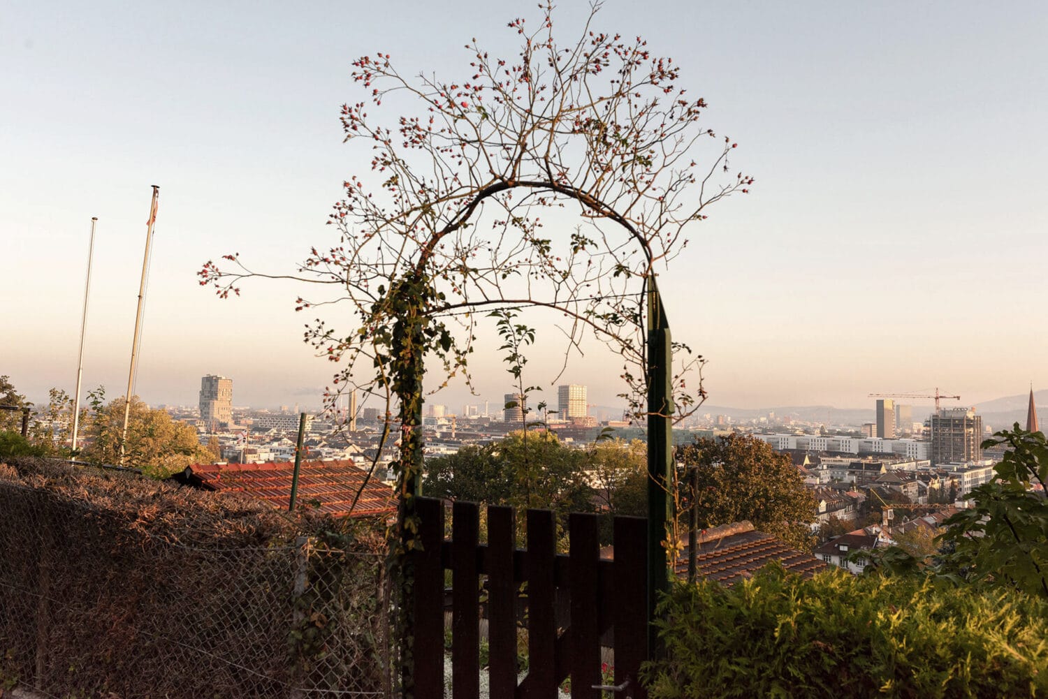 13Photo Christian Flierl Auf Dem Hellen Hügel Bruderholz 19