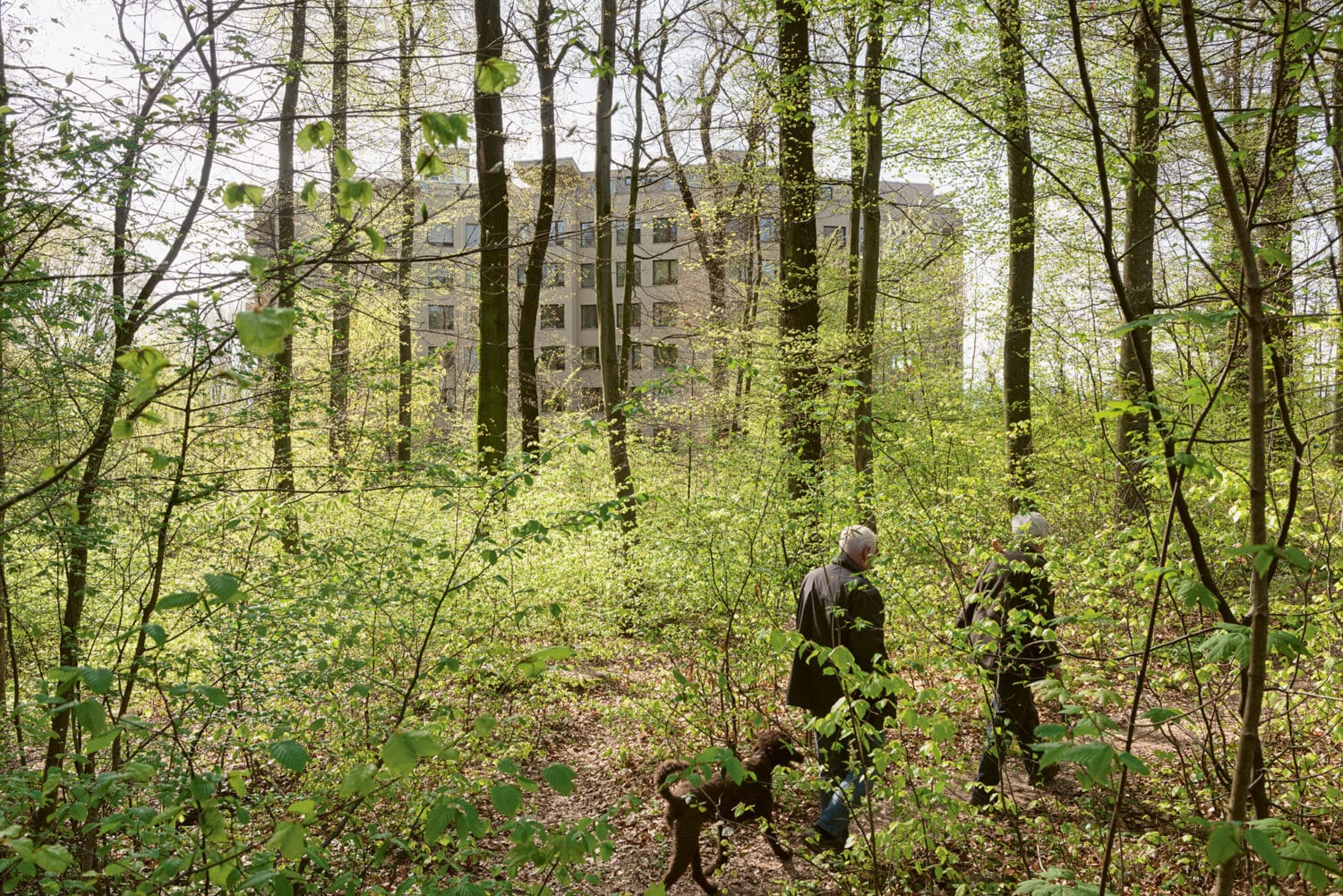 13Photo Christian Flierl Auf Dem Hellen Hügel Bruderholz