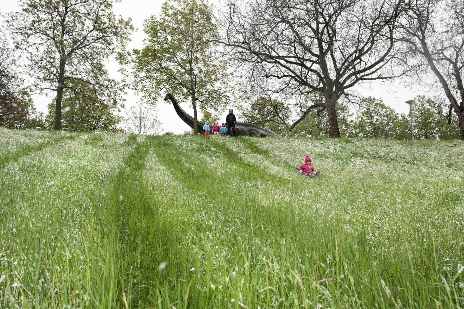 13Photo Christian Flierl Auf Dem Hellen Hügel Bruderholz