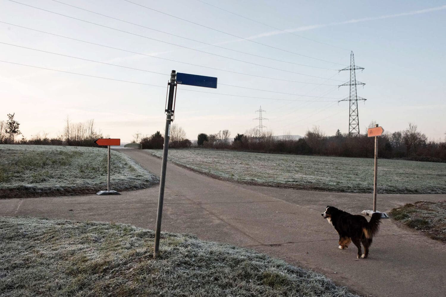 13Photo Christian Flierl Auf Dem Hellen Hügel Bruderholz