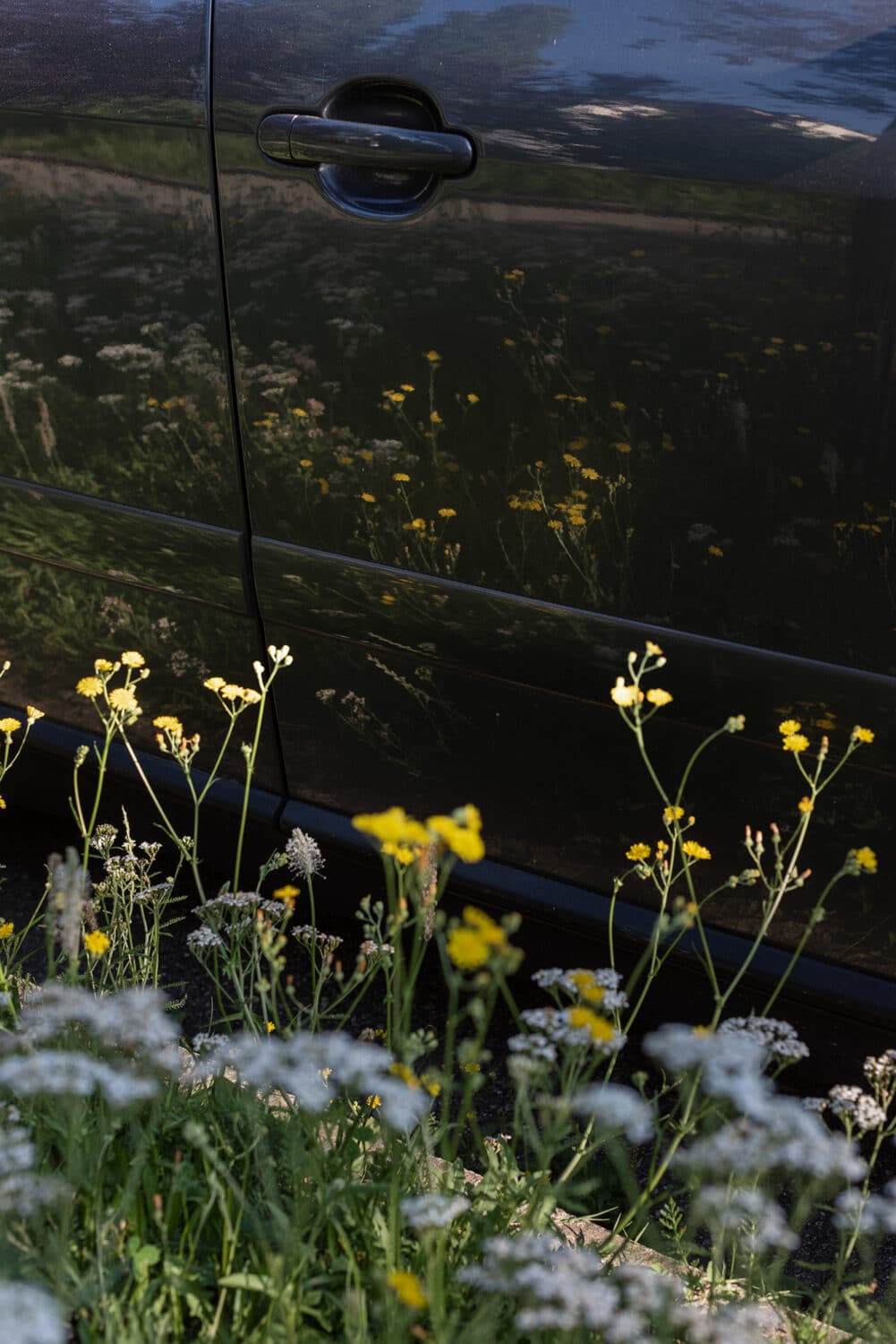 13Photo Christian Flierl Auf Dem Hellen Hügel Bruderholz