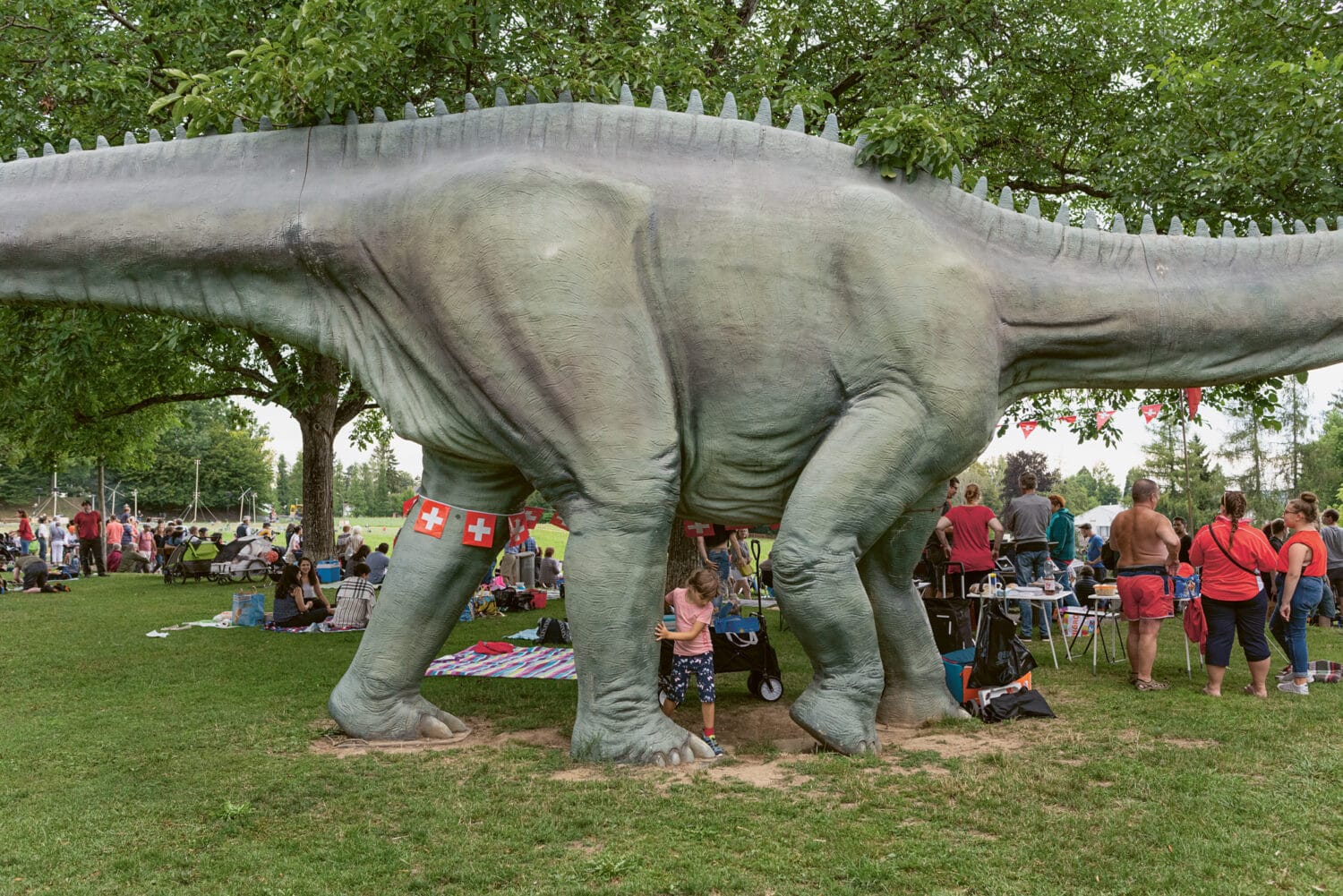 13Photo Christian Flierl Auf Dem Hellen Hügel Bruderholz