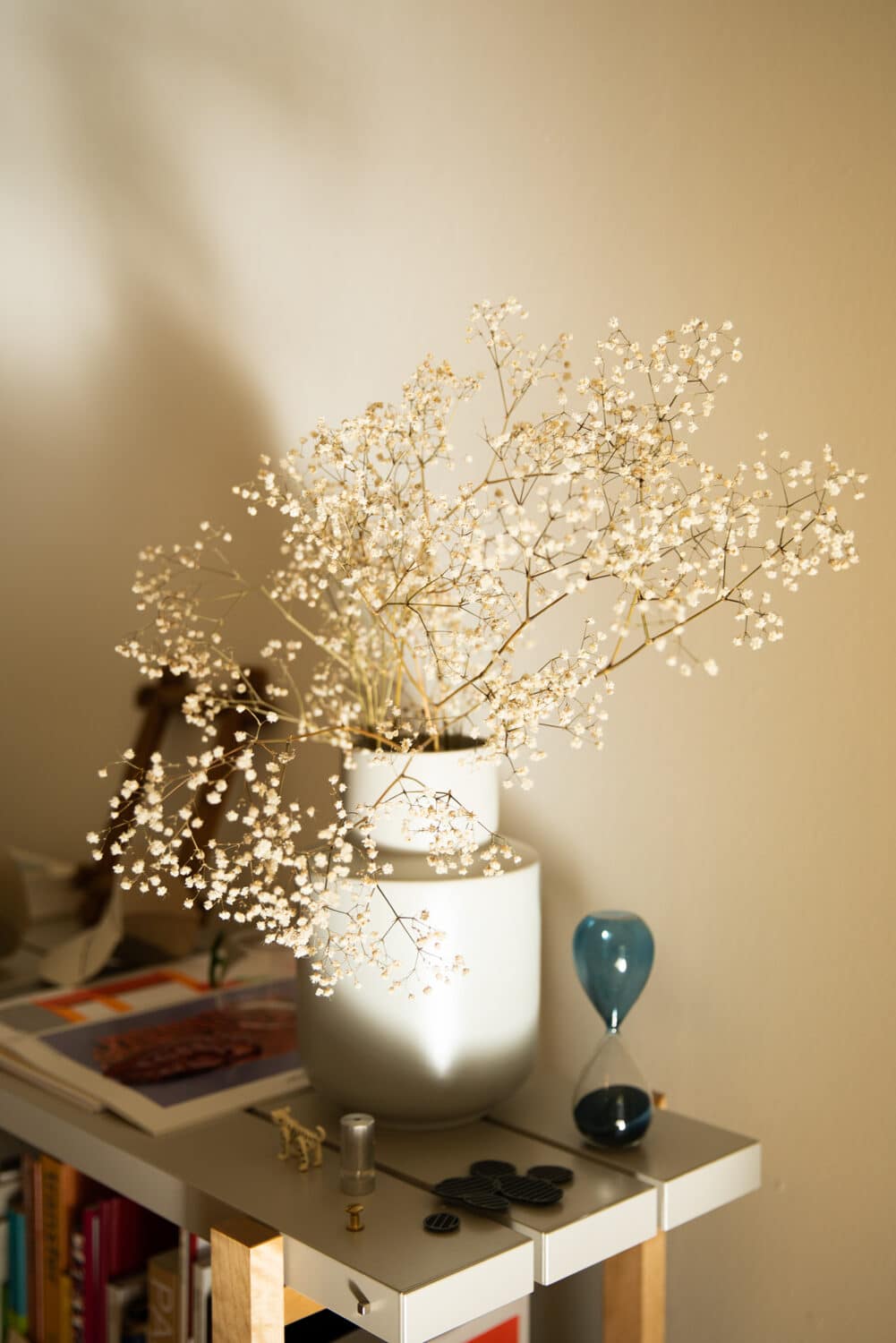 13PHOTO Filipa Peixeiro Frauen Selbstständig Designerin