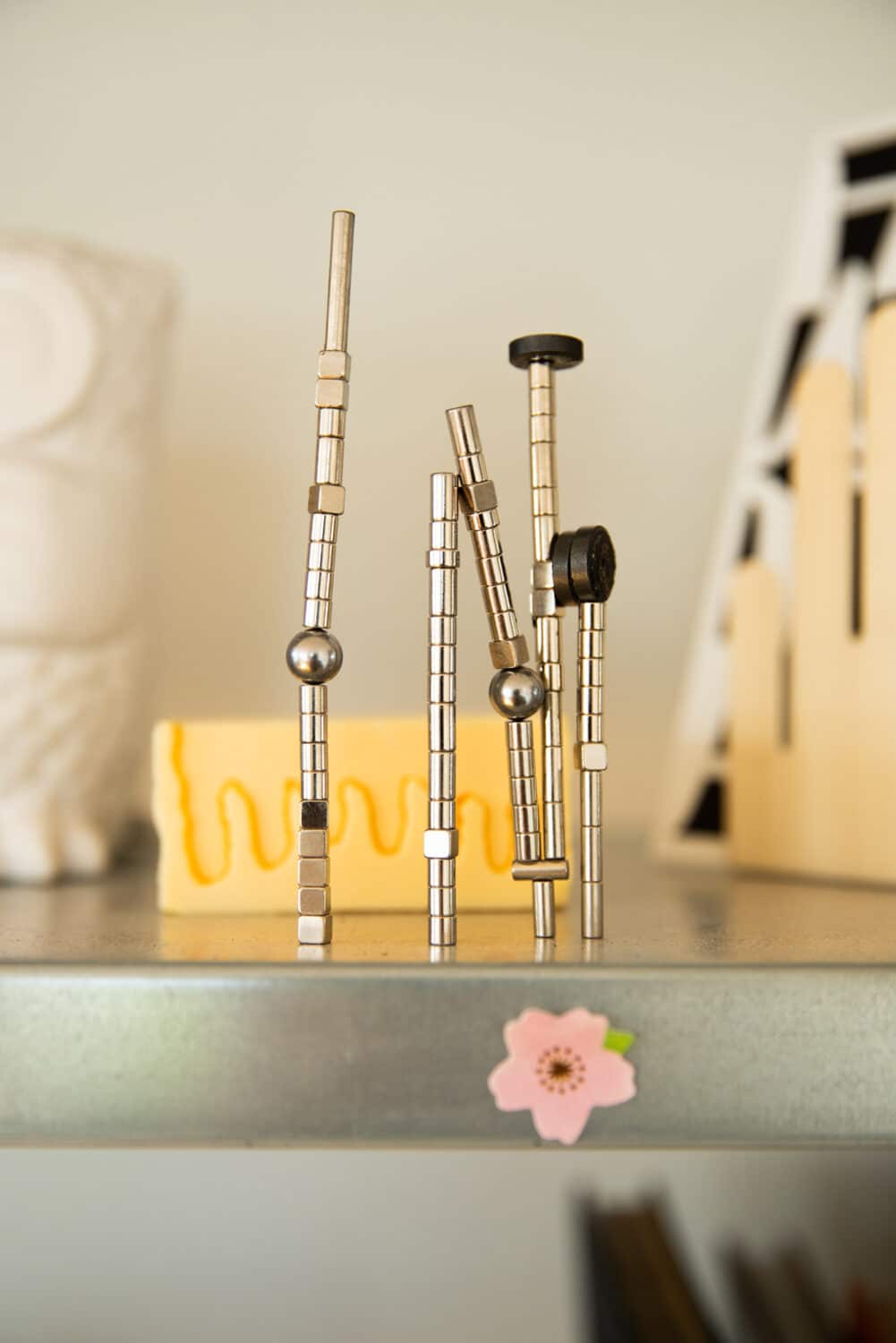 13PHOTO Filipa Peixeiro Frauen Selbstständig Designerin