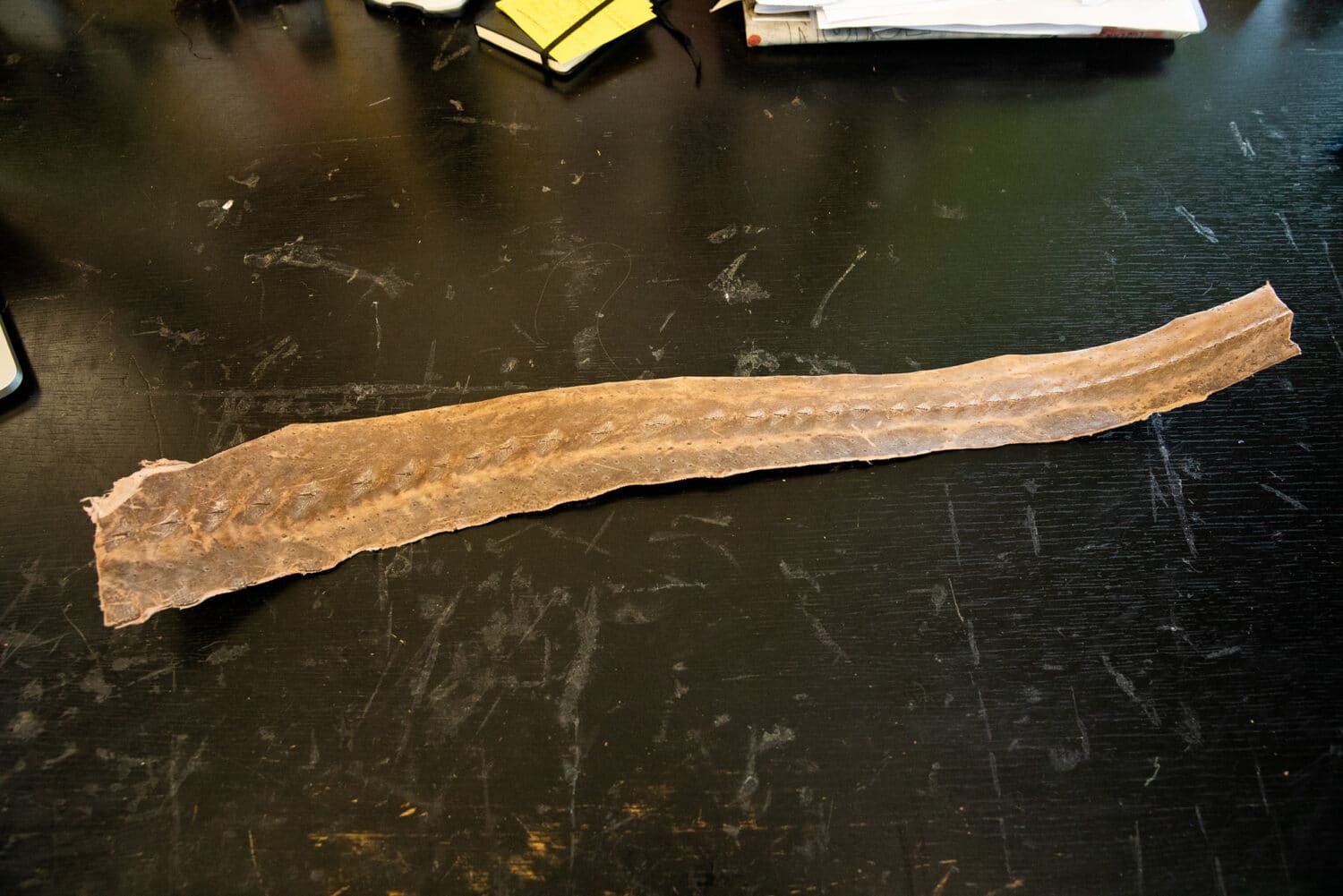 13PHOTO Filipa Peixeiro Frauen Selbstständig Designerin