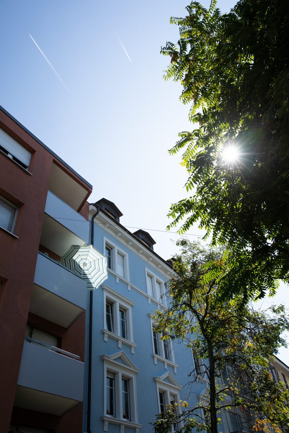 13PHOTO Filipa Peixeiro Frauen Selbstständig Designerin