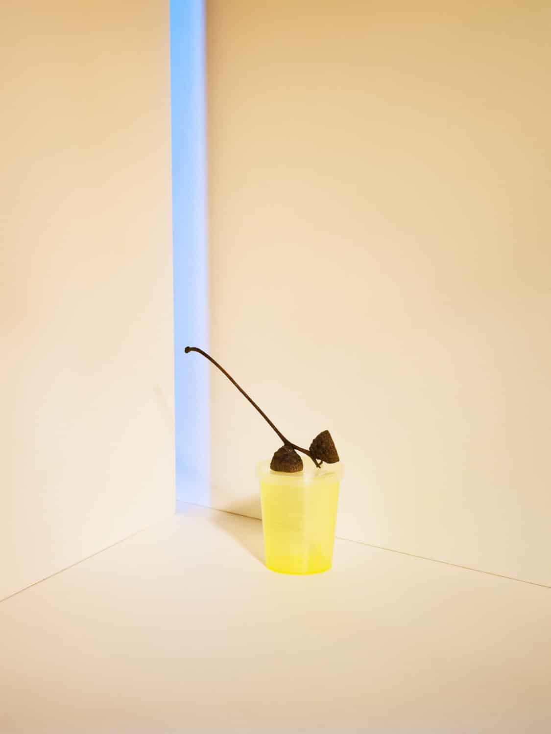 13PHOTO Filipa Peixeiro Abfall Recycling Objekte