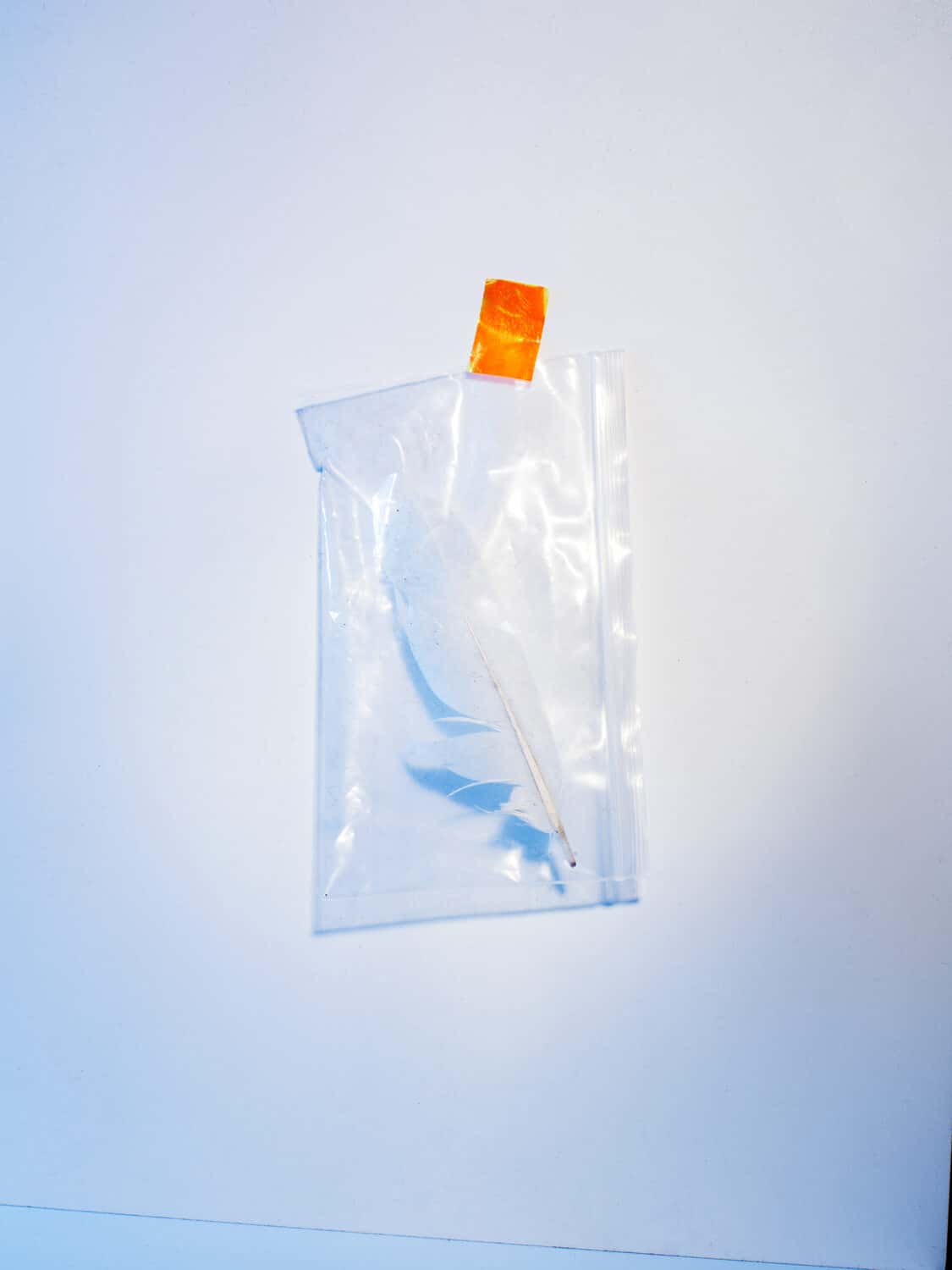 13PHOTO Filipa Peixeiro Abfall Recycling Objekte