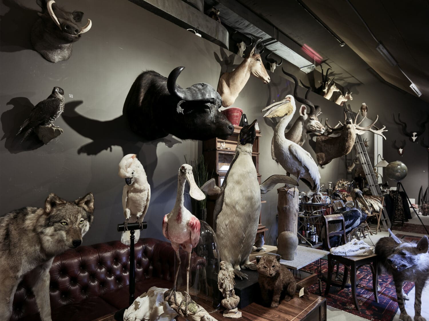 13PHOTO Kostas Maros Reportage HIDDEN Rooms