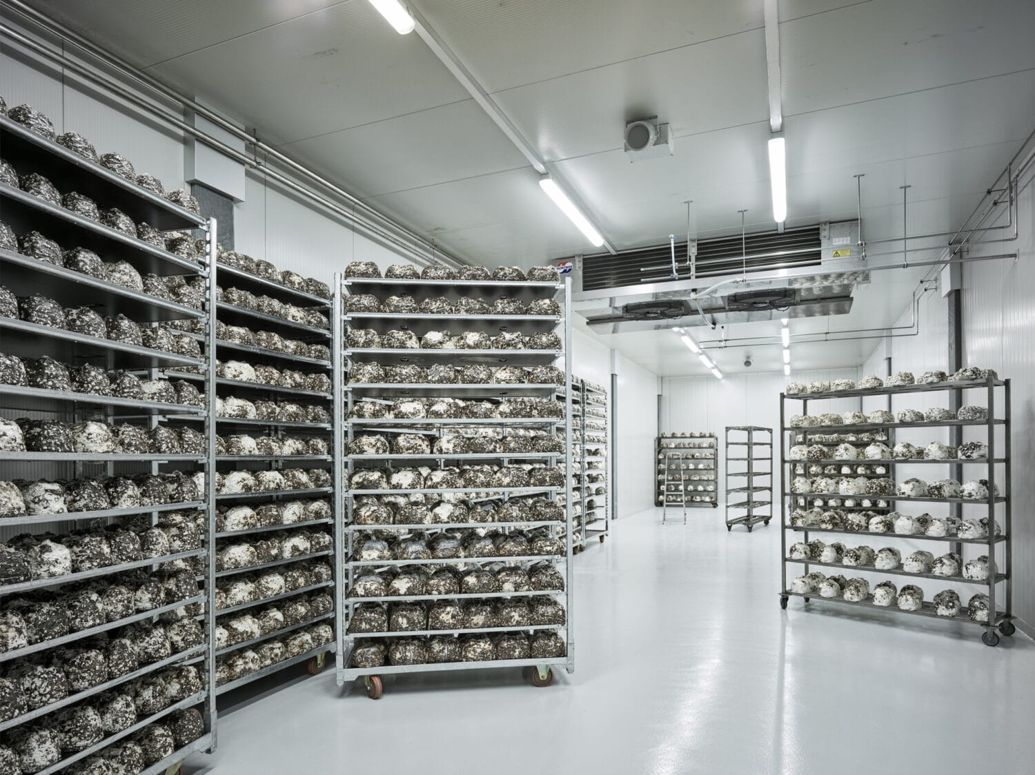 13PHOTO Kostas Maros Reportage HIDDEN Rooms