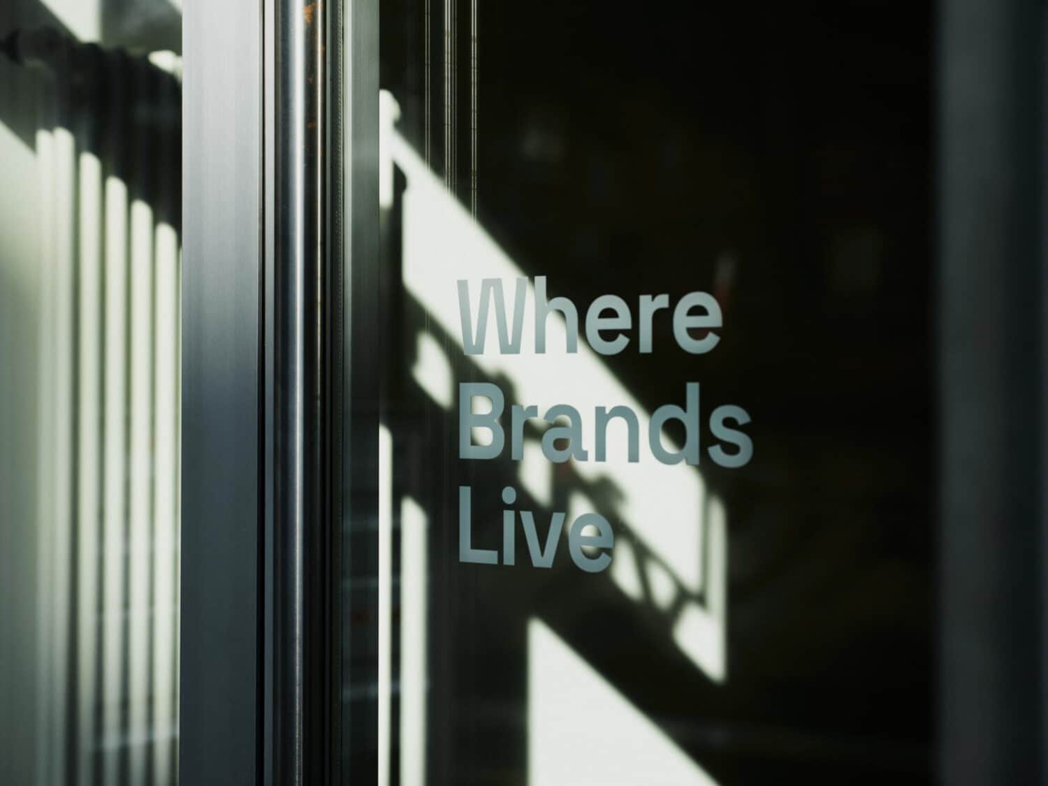 13 Photo Ladina Bischof Frontify