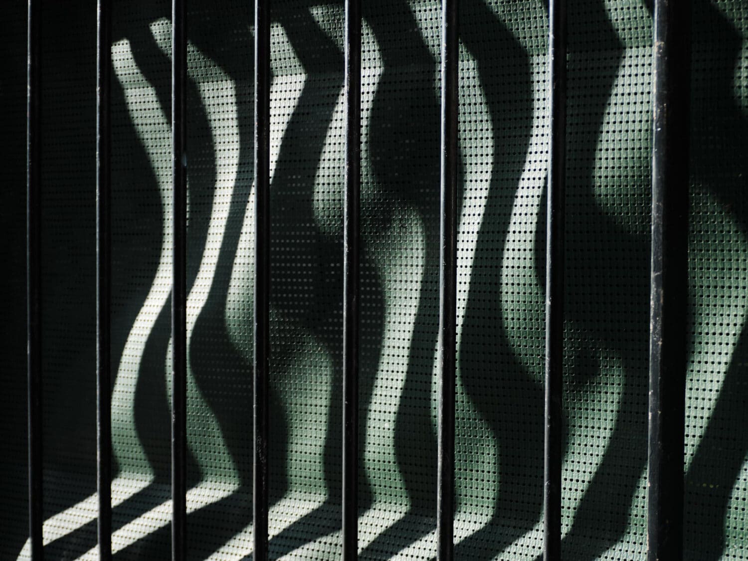 13Photo Ladina Bischof Singles Schatten Metall