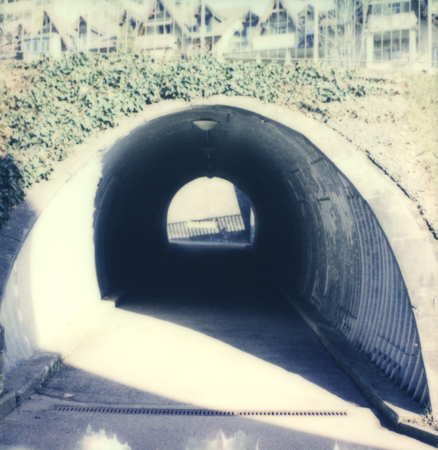 13 Photo Daniel Rihs Bern Polaroid