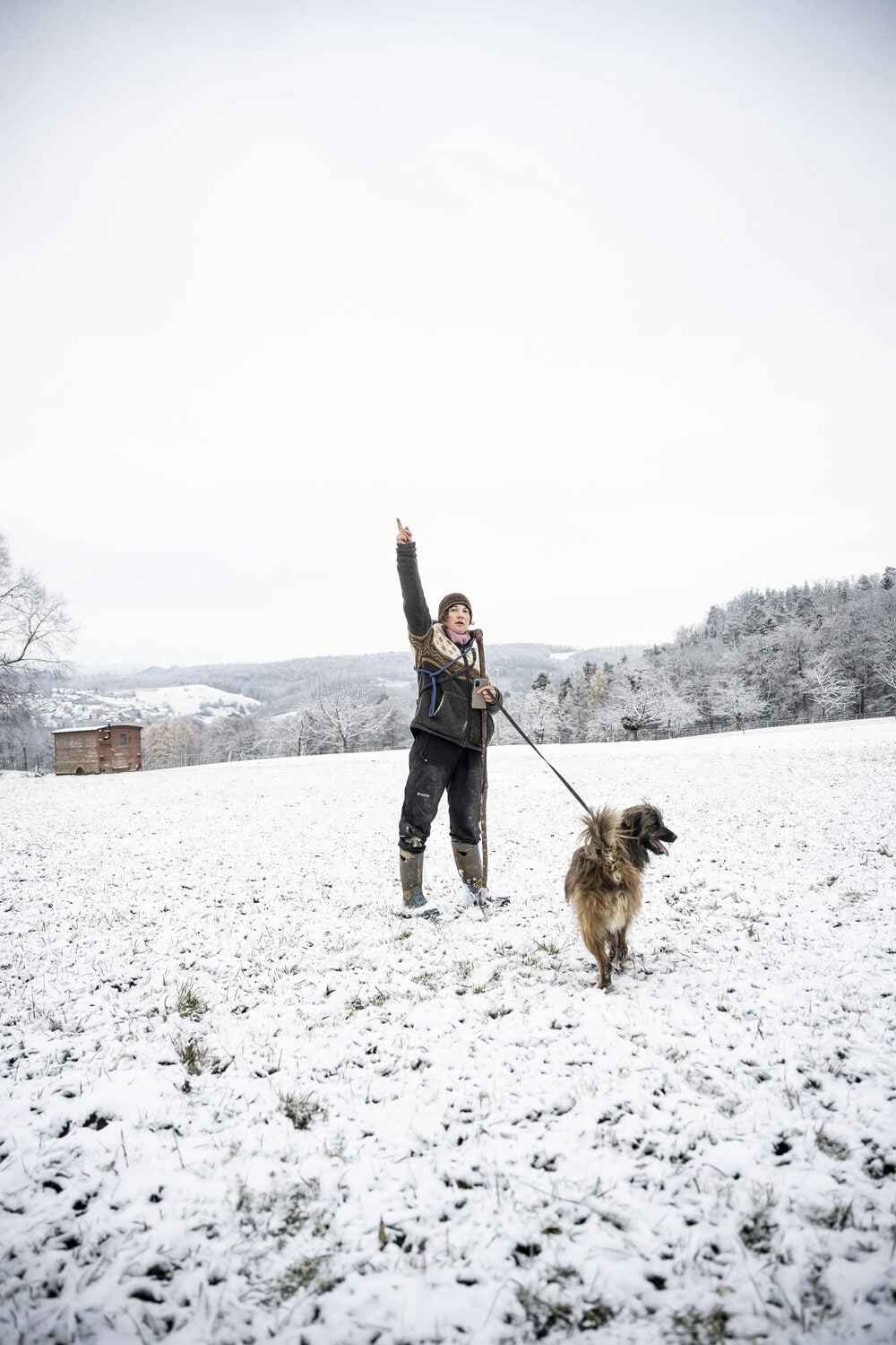 13 Photo Daniel Winkler Schafe Hirtin