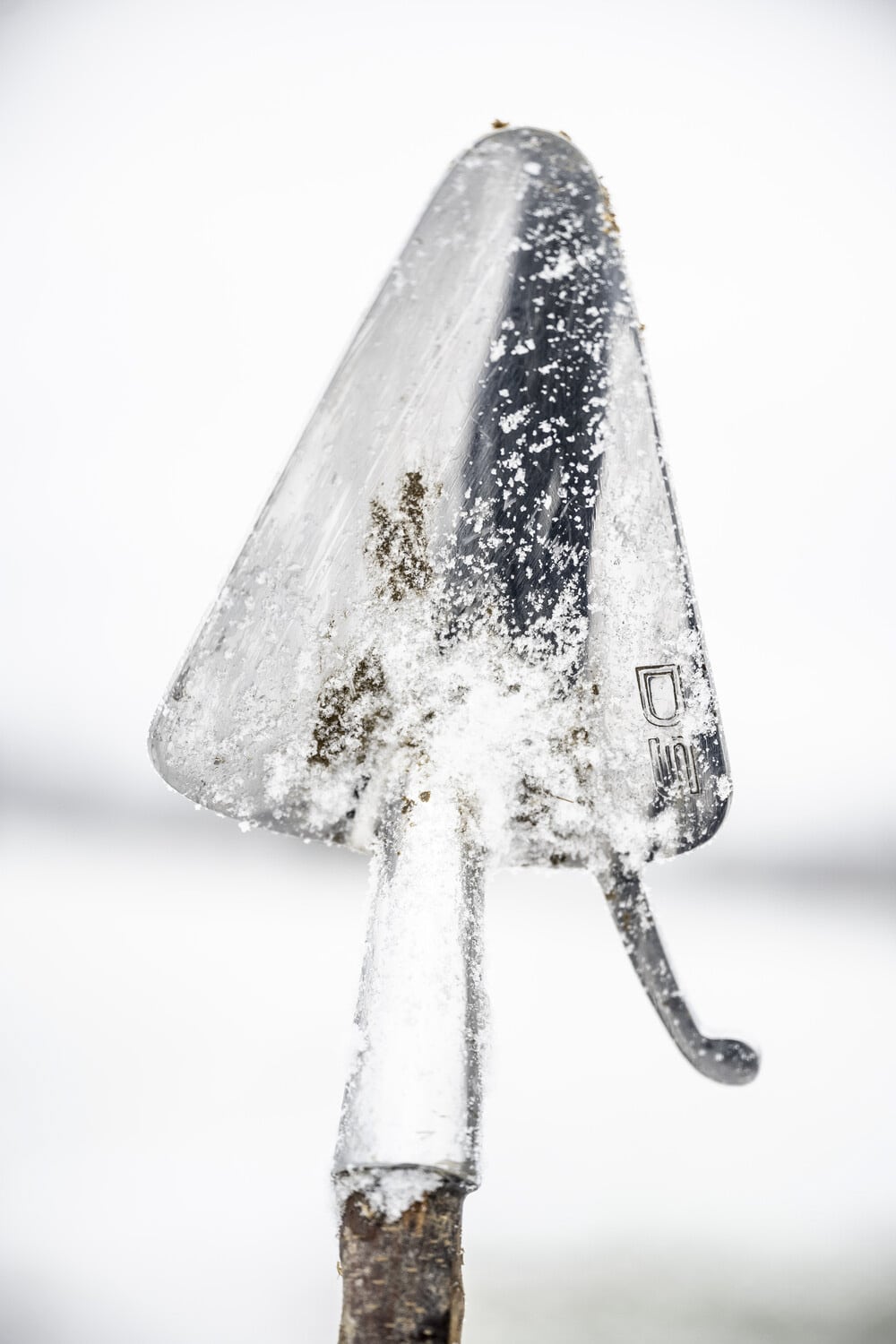 13 Photo Daniel Winkler Schafe Hirtin