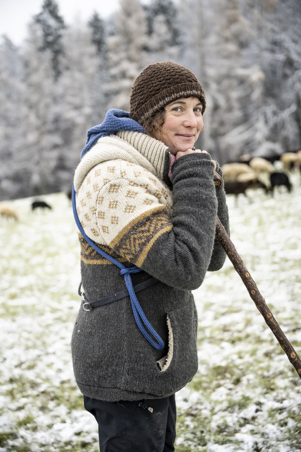 13 Photo Daniel Winkler Schafe Hirtin