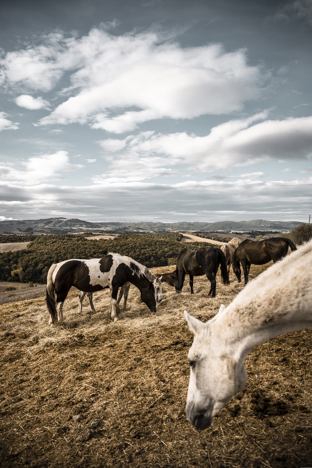 13 Photo Daniel Winkler Toskana