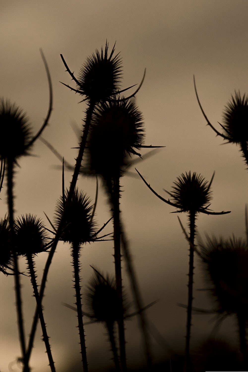 13 Photo Daniel Winkler Toskana