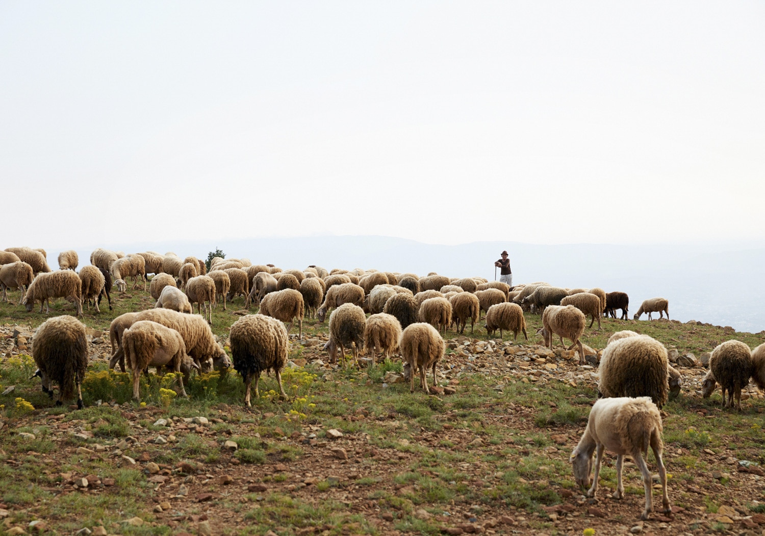 13 Photo Gabi Vogt Albanien