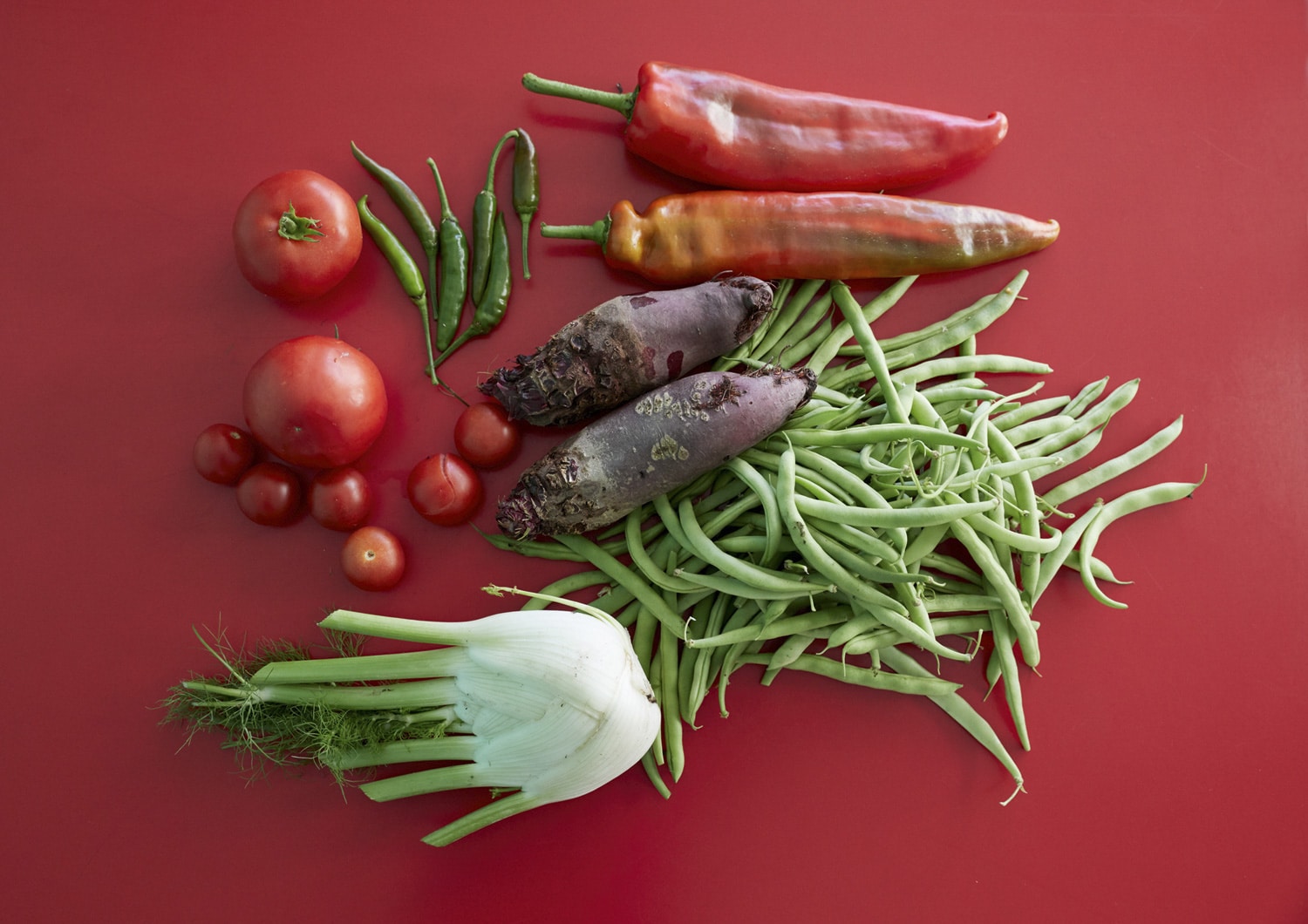 13 Photo Gabi Vogt Schrebergarten