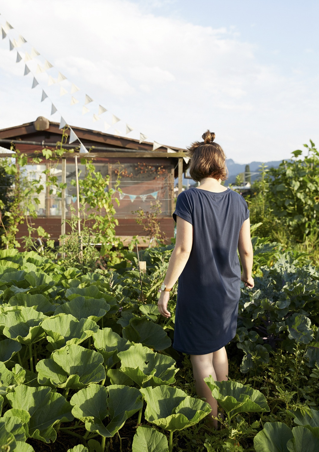 13 Photo Gabi Vogt Schrebergarten