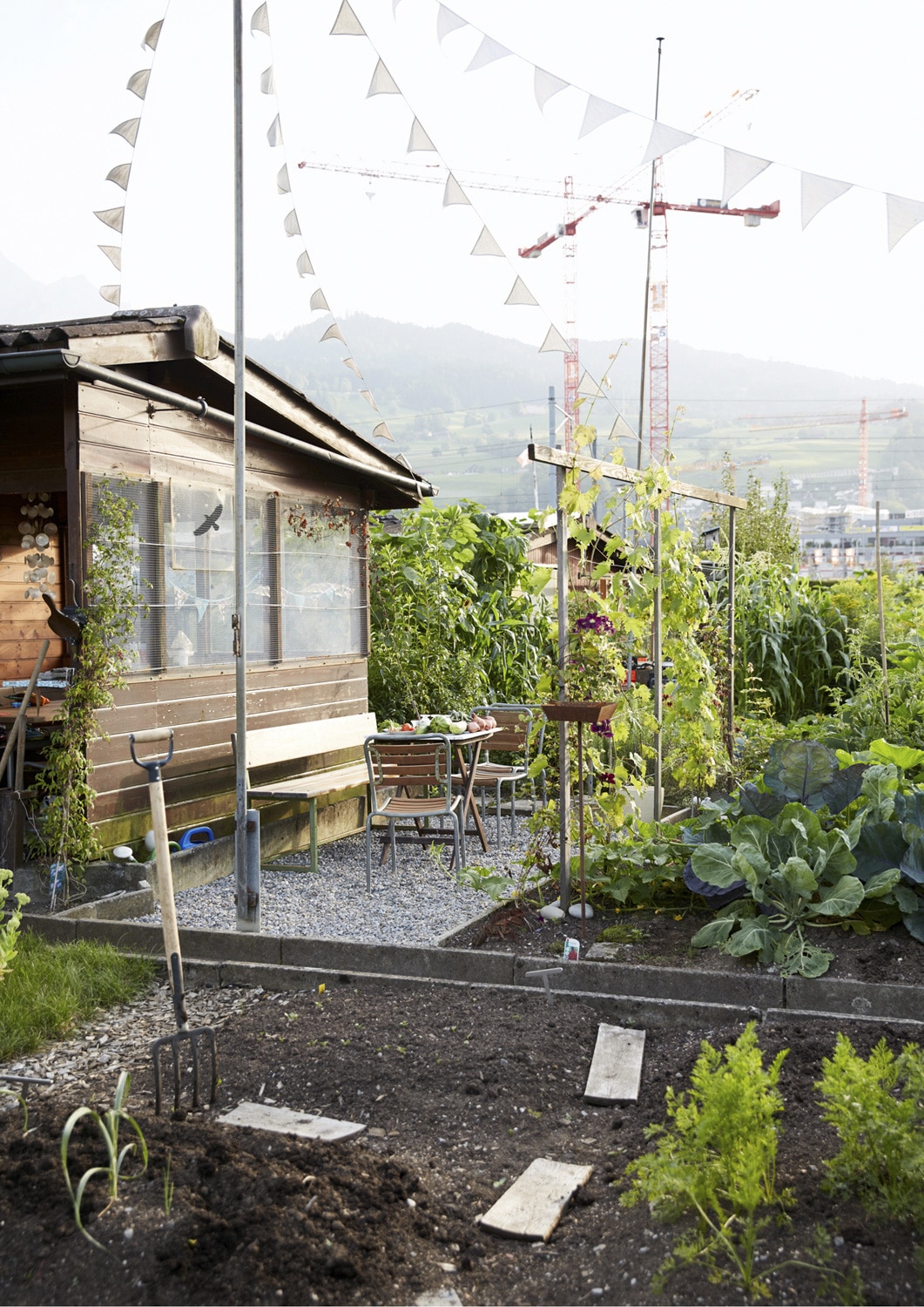 13 Photo Gabi Vogt Schrebergarten