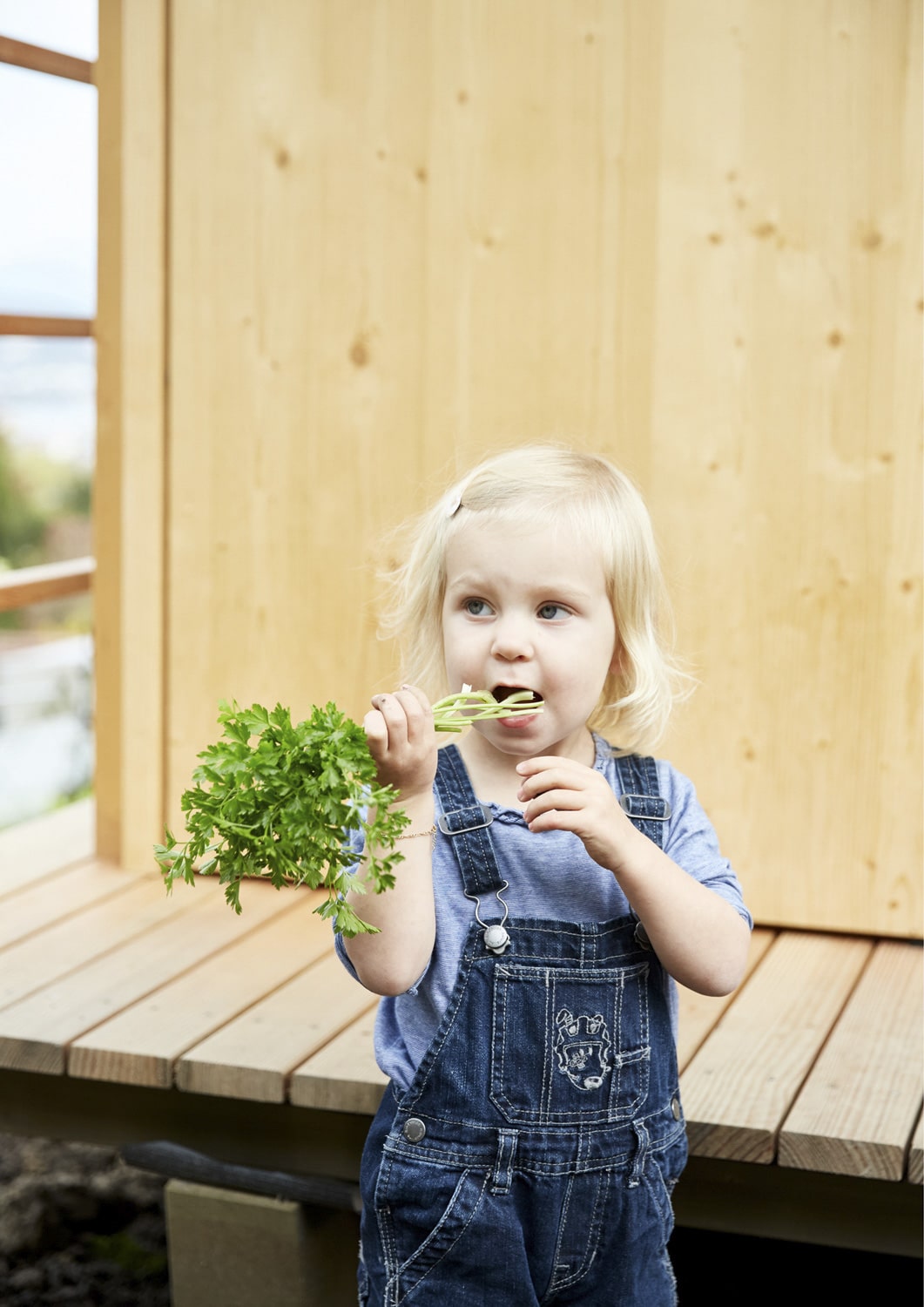 13 Photo Gabi Vogt Schrebergarten