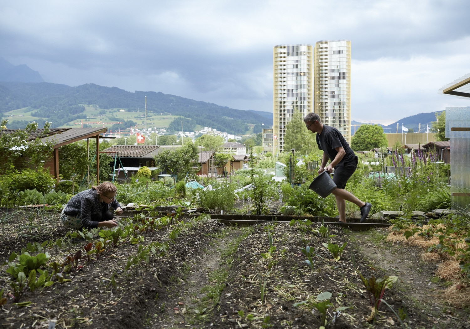 13 Photo Gabi Vogt Schrebergarten