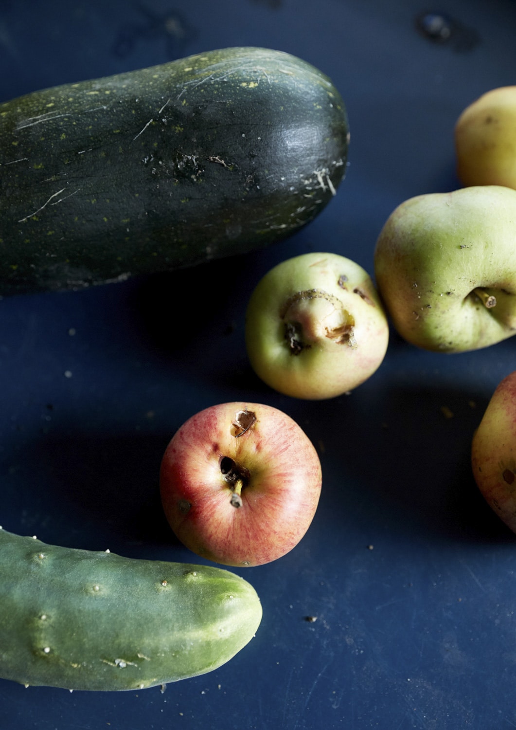 13 Photo Gabi Vogt Schrebergarten