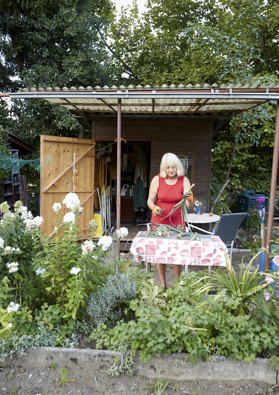 13 Photo Gabi Vogt Schrebergarten