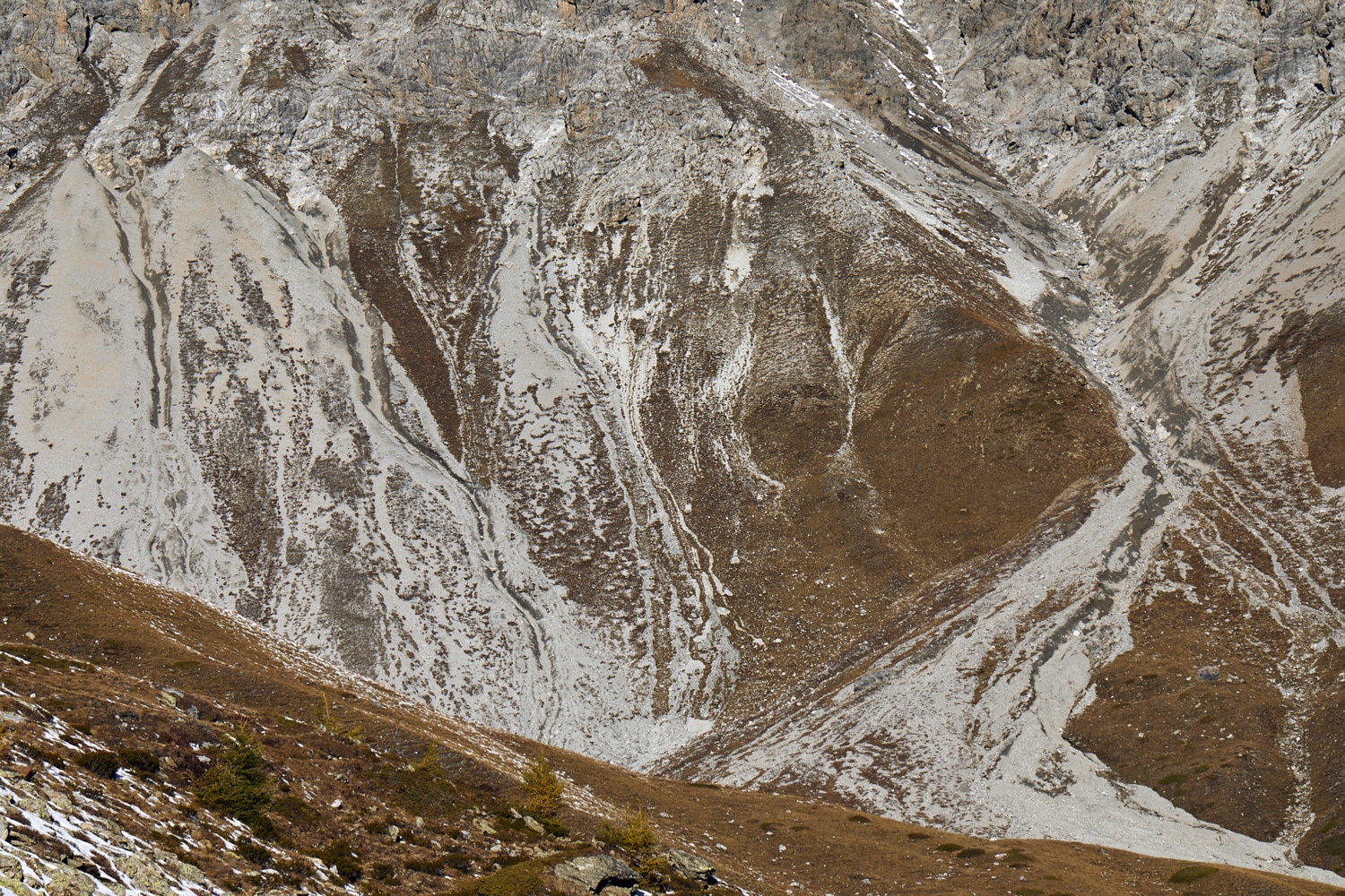13 Photo Mara Truog Steinböcke Jagd