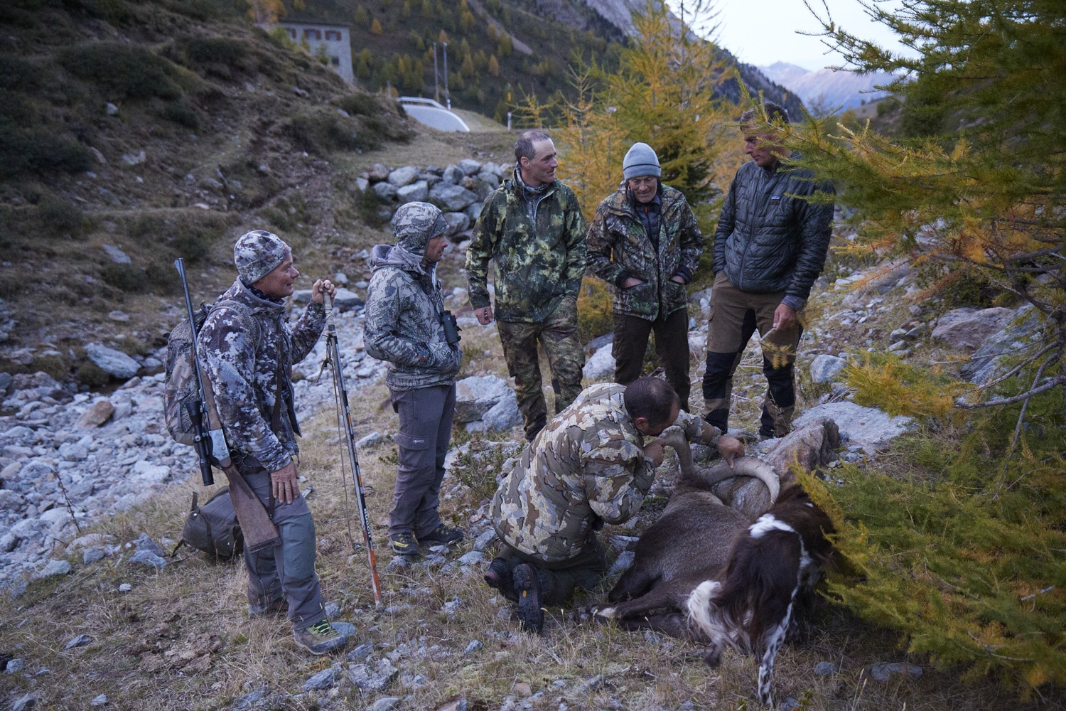 13 Photo Mara Truog Steinböcke Jagd