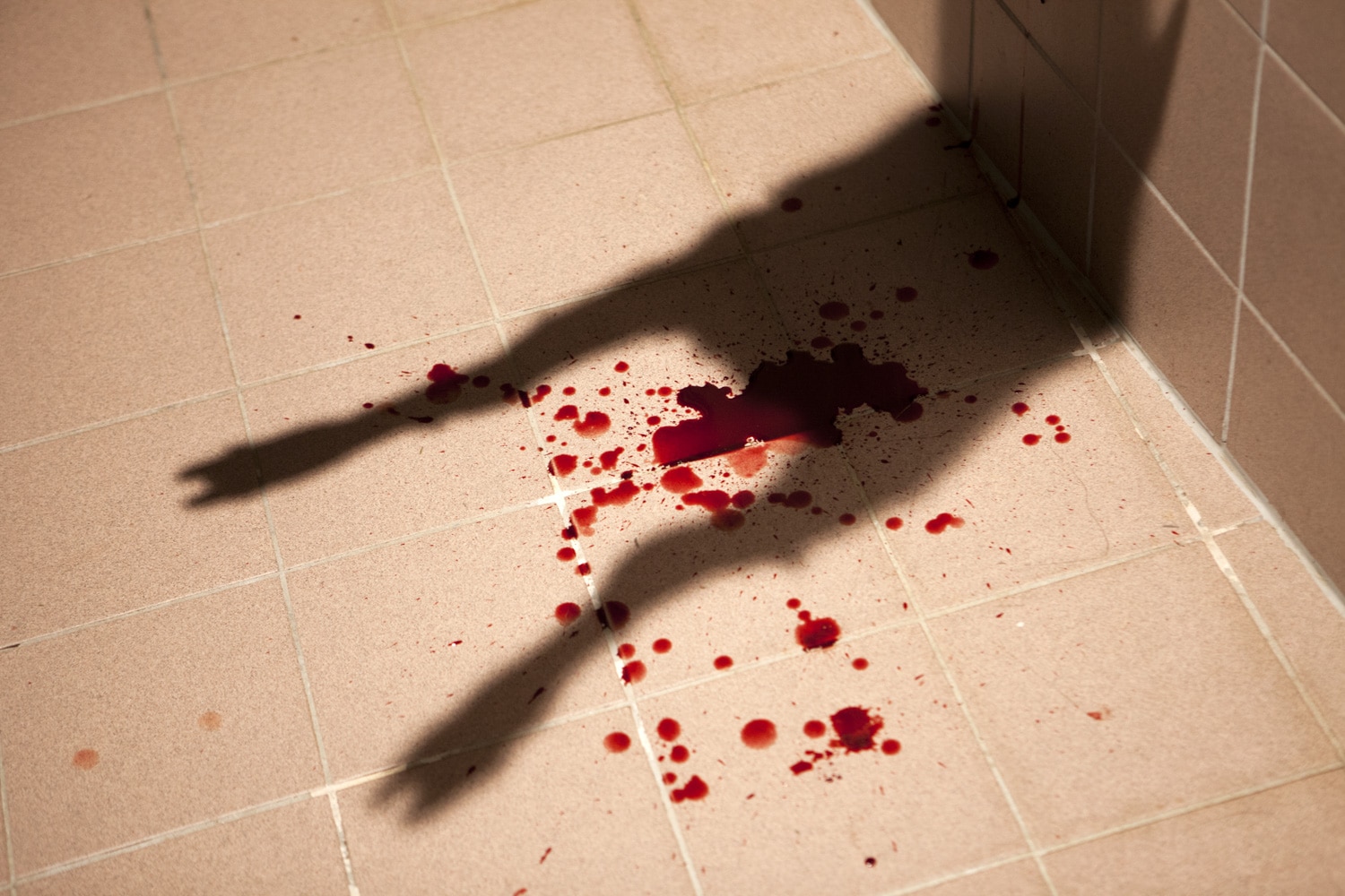 13 Photo Mara Truog Steinböcke Jagd