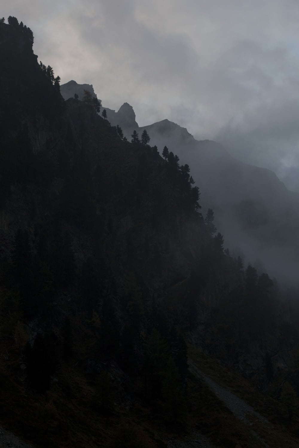 13 Photo Mara Truog Steinböcke Jagd