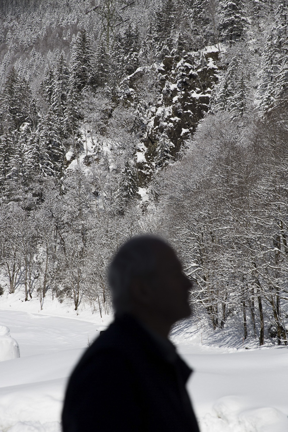 13 Photo Salvatore Vinci Kristalle