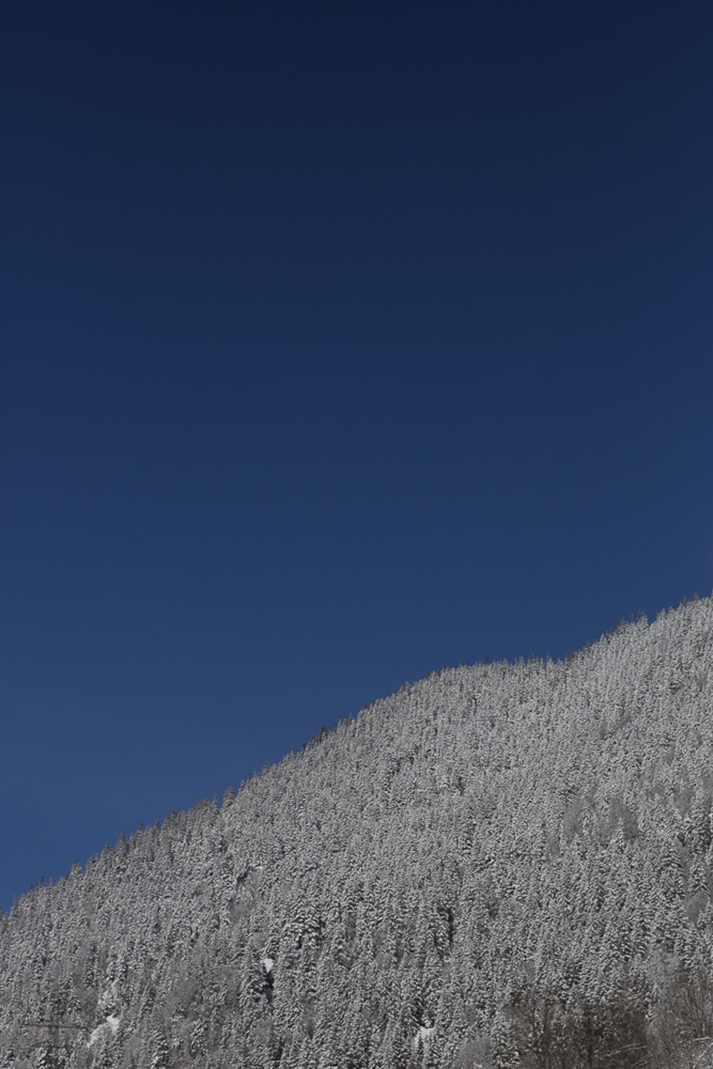 13 Photo Salvatore Vinci Kristalle