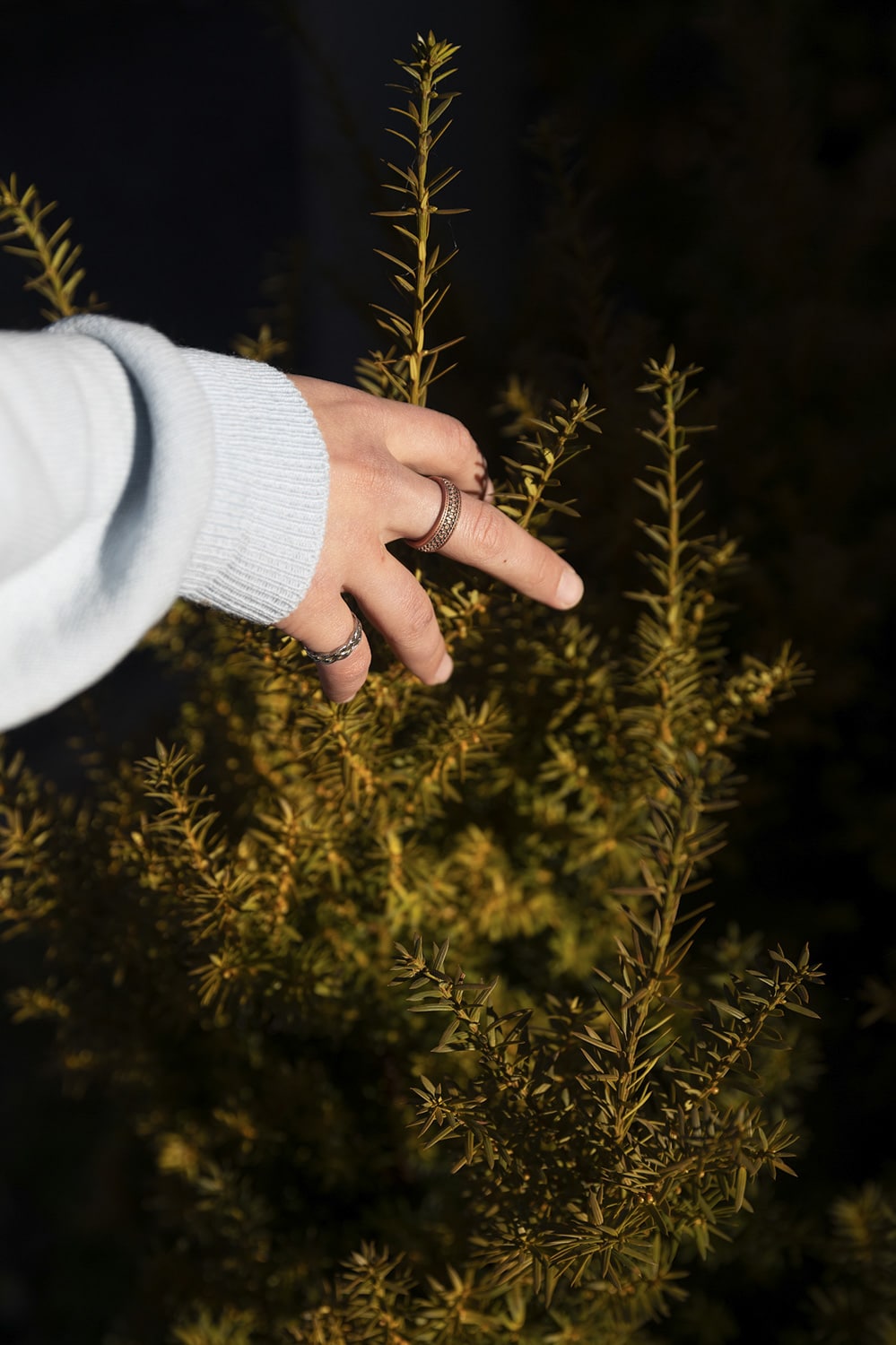 13 photo Salvatore Vinci Portrait Nils