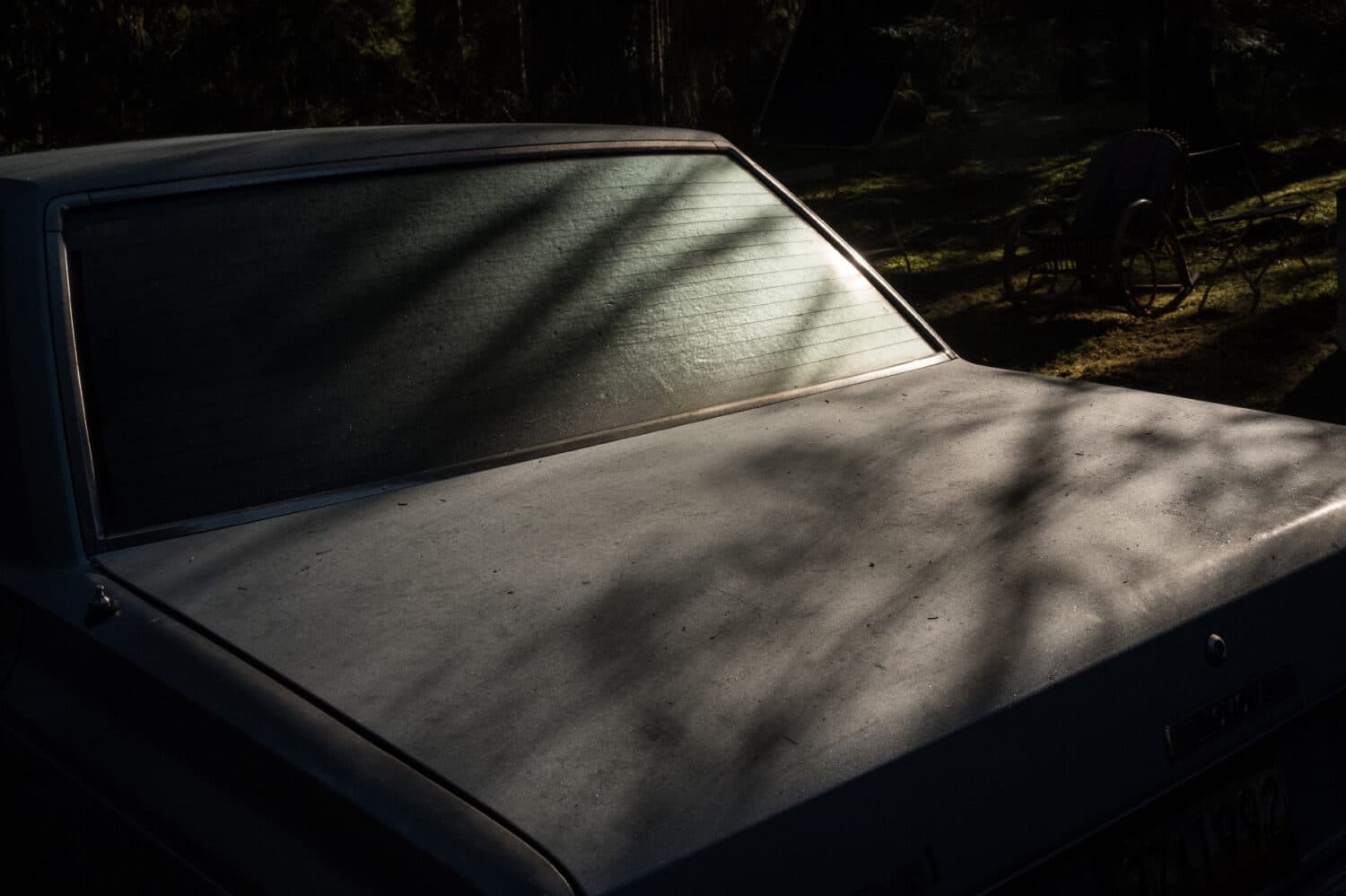 13 Photo Salvatore Vinci Moods