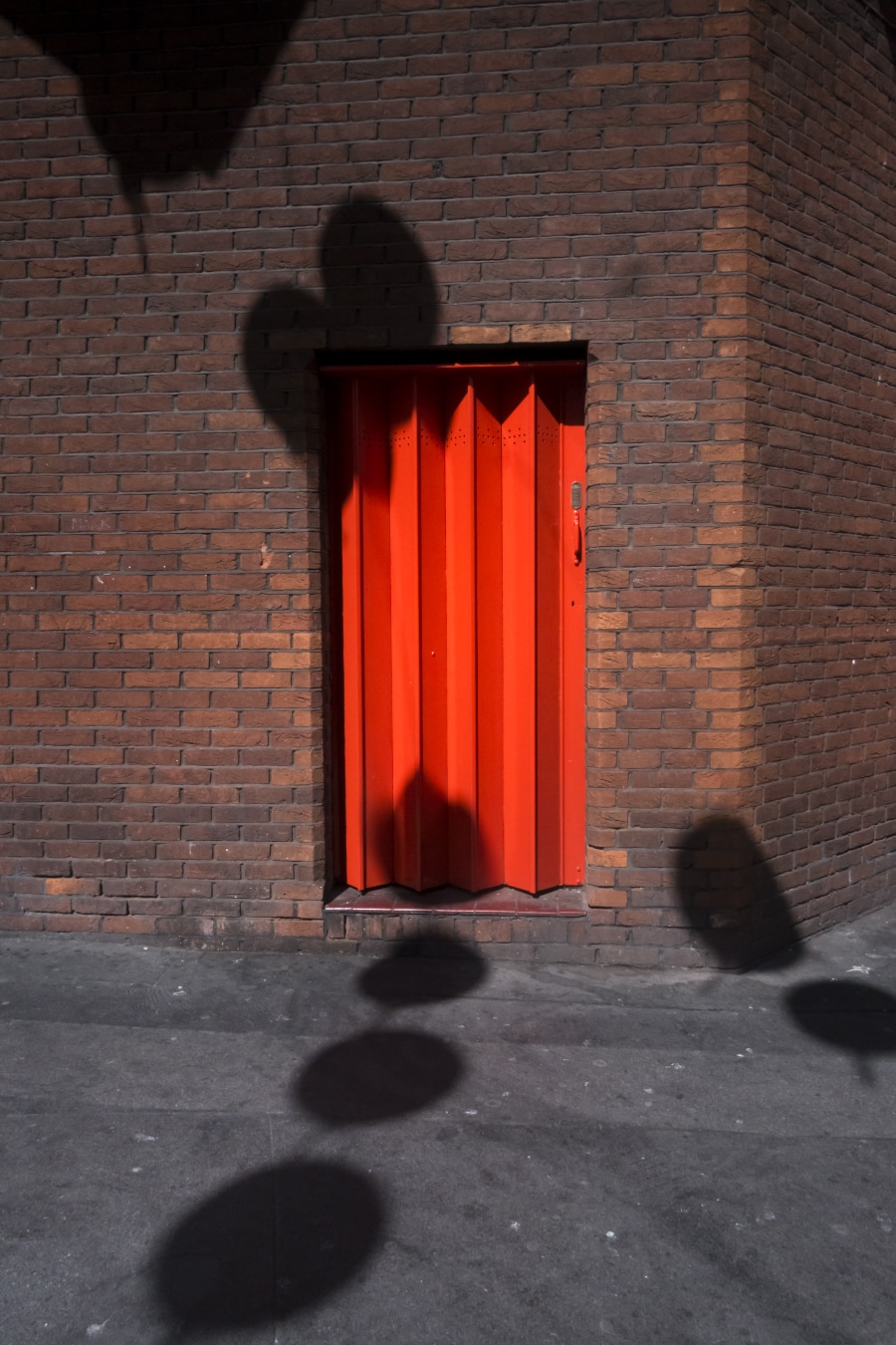 13 Photo Salvatore Vinci Moods