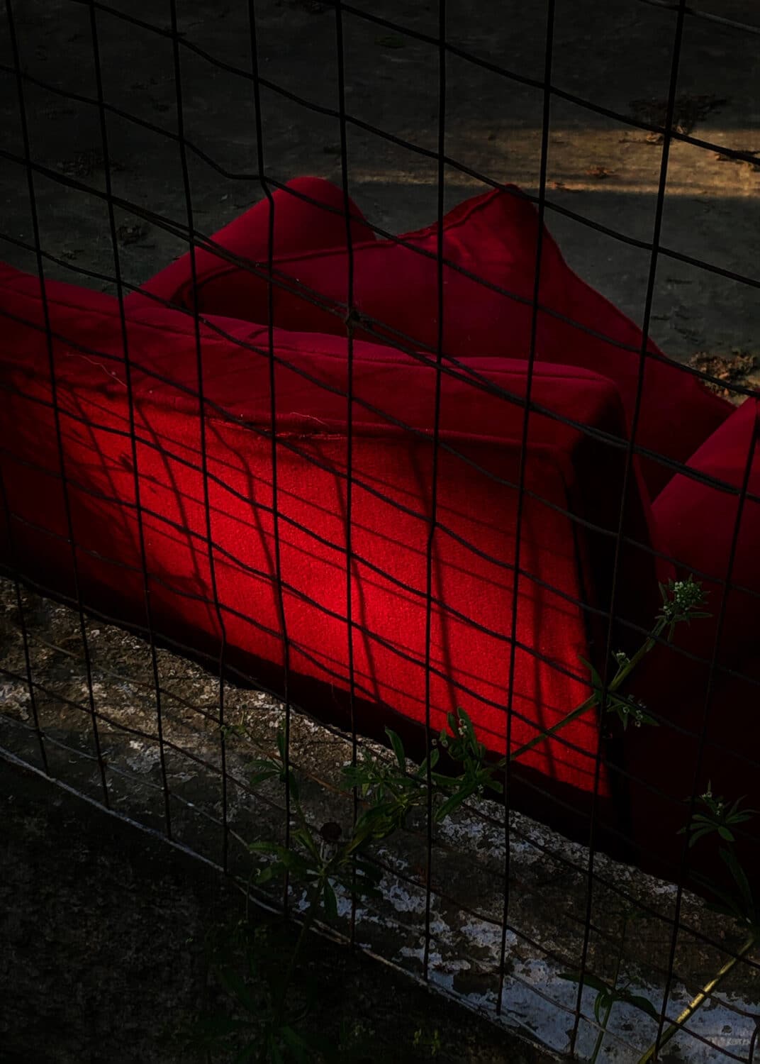 13 Photo Salvatore Vinci Moods