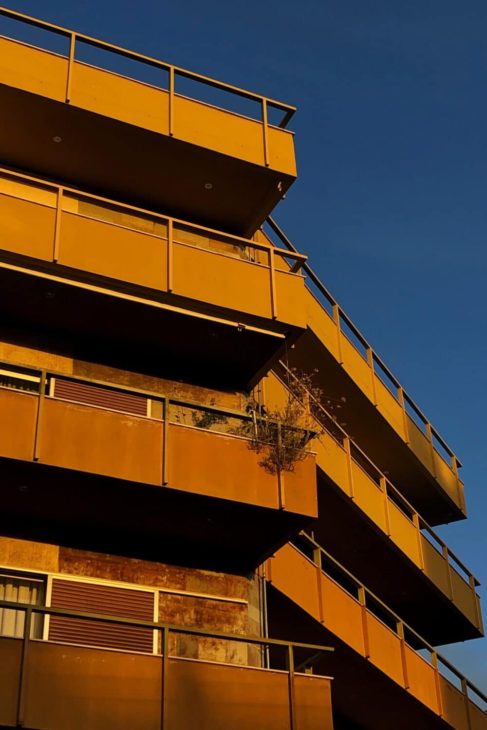 13 Photo Salvatore Vinci Moods